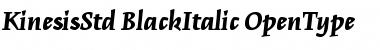 Download Kinesis Std Black Italic Font