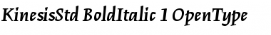 Download Kinesis Std Bold Italic Font