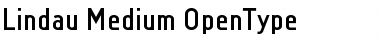 Download Lindau Medium Font Title Preview Download Lindau Medium Font Title Preview