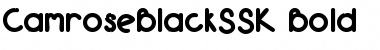 Download CamroseBlackSSK Bold Font