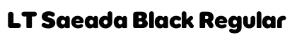 LT Saeada Black Regular preview