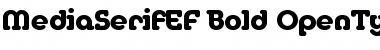 Download MediaSerifEF Bold Font