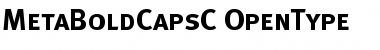 Download MetaBoldCapsC Regular Font