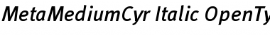 Download MetaMediumCyr-Italic Regular Font