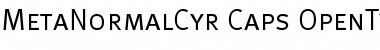 Download MetaNormalCyr-Caps Regular Font