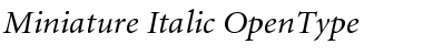 Download Miniature Italic Font