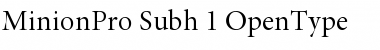 Download Minion Pro Font