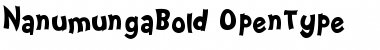 Download Nanumunga Bold Font