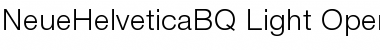 Download Neue Helvetica BQ Font