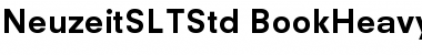 Download Neuzeit S LT Std Font