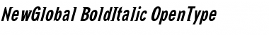 Download NewGlobal BoldItalic Font