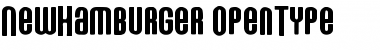 Download NewHamburger Regular Font