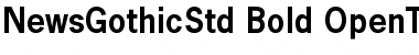 Download News Gothic Std Bold Font