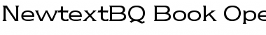 Download Newtext BQ Regular Font