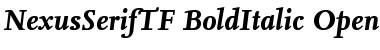 Download NexusSerifTF-BoldItalic Regular Font