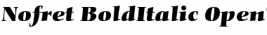 Download Nofret Bold Italic Font
