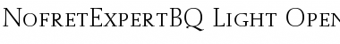 Download Nofret Expert BQ Font