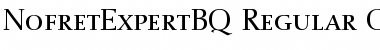 Download Nofret Expert BQ Font