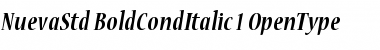 Download Nueva Std Bold Condensed Italic Font