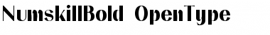 Download NumskillBold Font