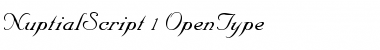 Download NuptialScript Font