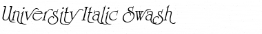 Download University Italic Swash Font