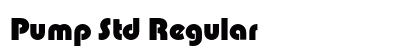 Pump Std Regular preview