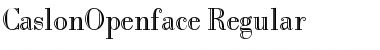 Download CaslonOpenface Regular Font