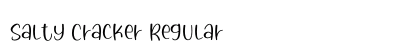 Salty Cracker Regular preview