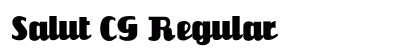Salut CG Regular preview
