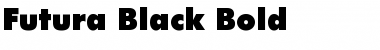 Download Futura-Black Font