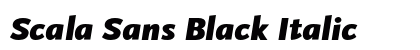Scala Sans Black Italic Font Scala Sans Black Italic Font Preview