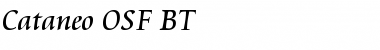 Download Cataneo OSF BT Regular Font