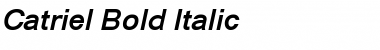 Download Catriel Bold Italic Font