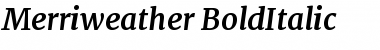 Download Merriweather Bold Italic Font