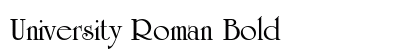 University Roman Bold preview