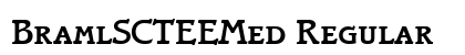 BramlSCTEEMed Regular