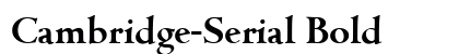 Cambridge-Serial Bold preview