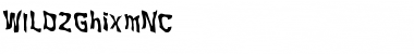 Download WILD2 Ghixm NC Font