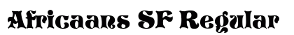 Africaans SF Regular