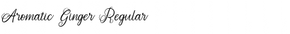 Download Aromatic Ginger Font