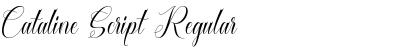 Download Cataline Script Regular Font