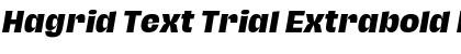 Download Hagrid Text Trial Extrabold Italic Font
