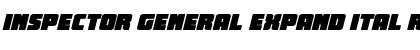 Download Inspector General Expand Ital Font Download Inspector General Expand Ital Font