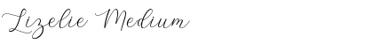 Download Lizelie Medium Font Title Preview Download Lizelie Medium Font Title Preview