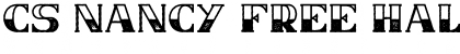 Download CS Nancy Free HalfblockRough Font