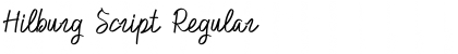 Download Hilburg Script Regular Font