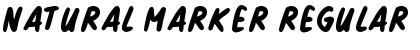 Download Natural Marker Font