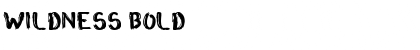 Download Wildness Font