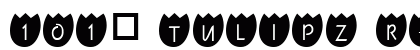 101! TulipZ Regular
